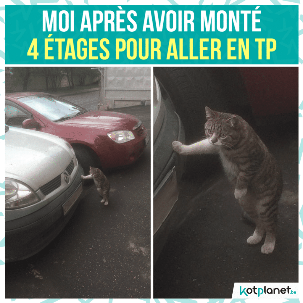 meme-apres-monte-5-etages-pour-tp