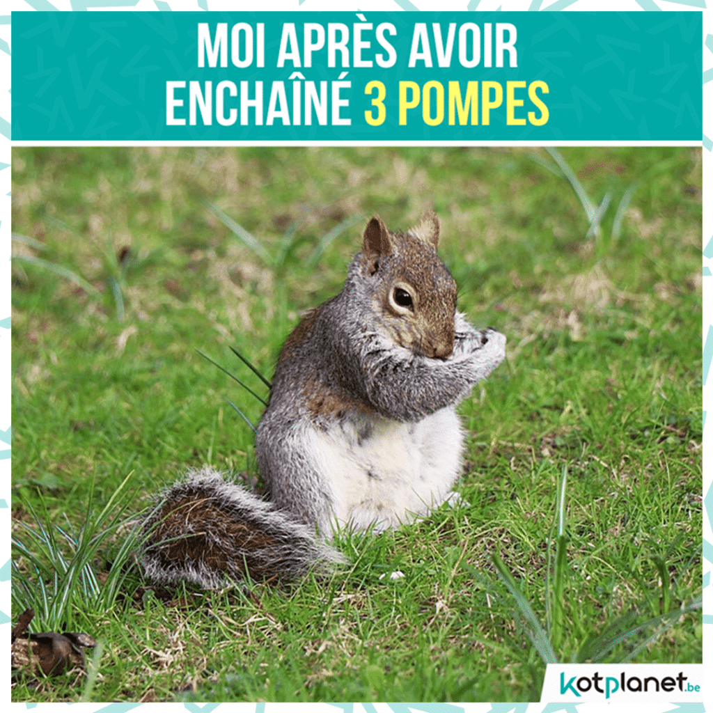 meme-enchaine-3-pompes