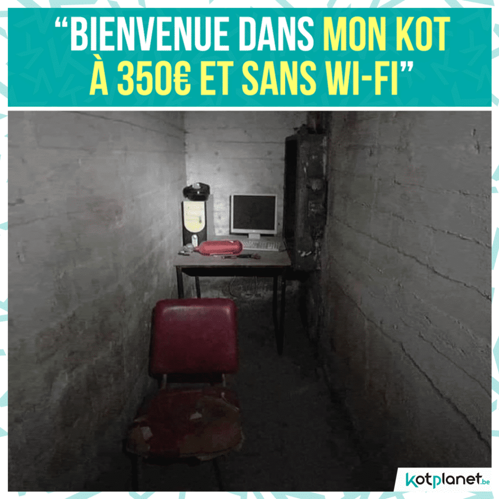 meme-kot-350-sans-internet