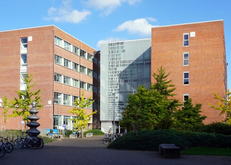 La KU Leuven sanctionne un groupe d’étudiants après un baptême « risqué et irresponsable »