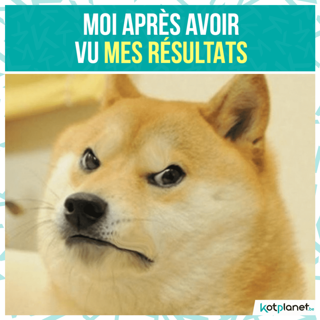 meme-apres-avoir-vu-resultats