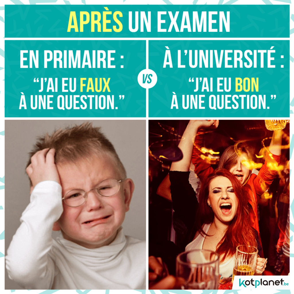 meme-apres-examen-primaire-superieur