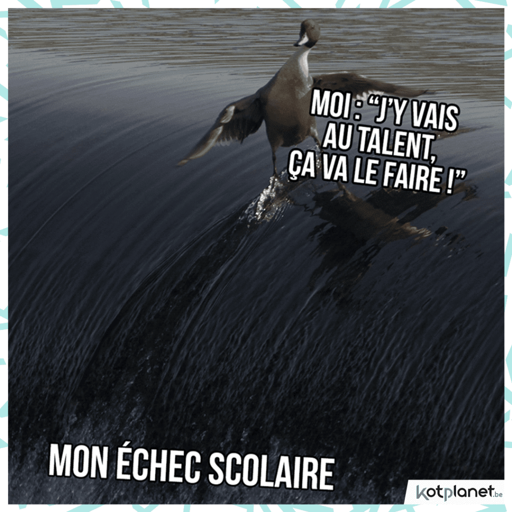 meme-canard-talent-ca-va-le-faire