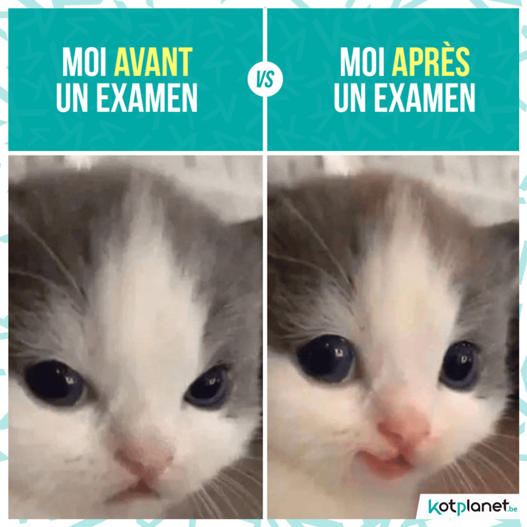 meme-moi-avant-vs-apres-examen