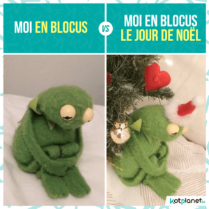 meme moi blocus vs noel blocus