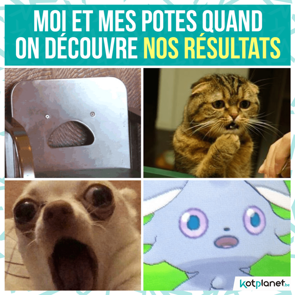 meme-moi-et-potes-decouvrent-resultats