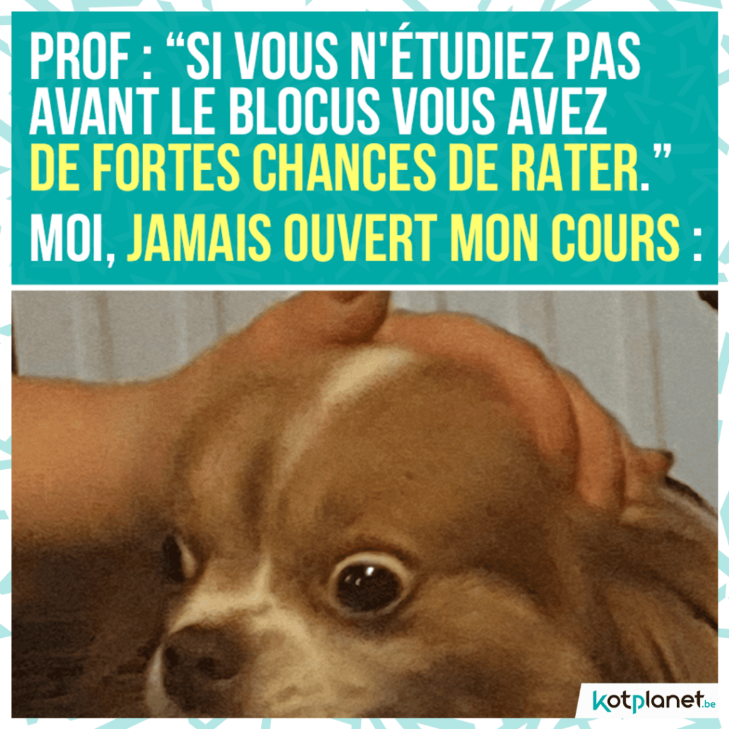 meme-prof-si-vous-etudiez-pas-avant-blocus