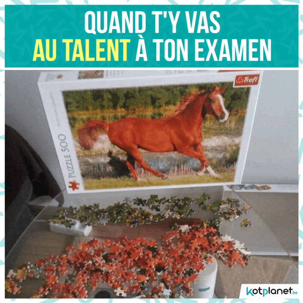 meme-quand-tu-vas-talent-examen