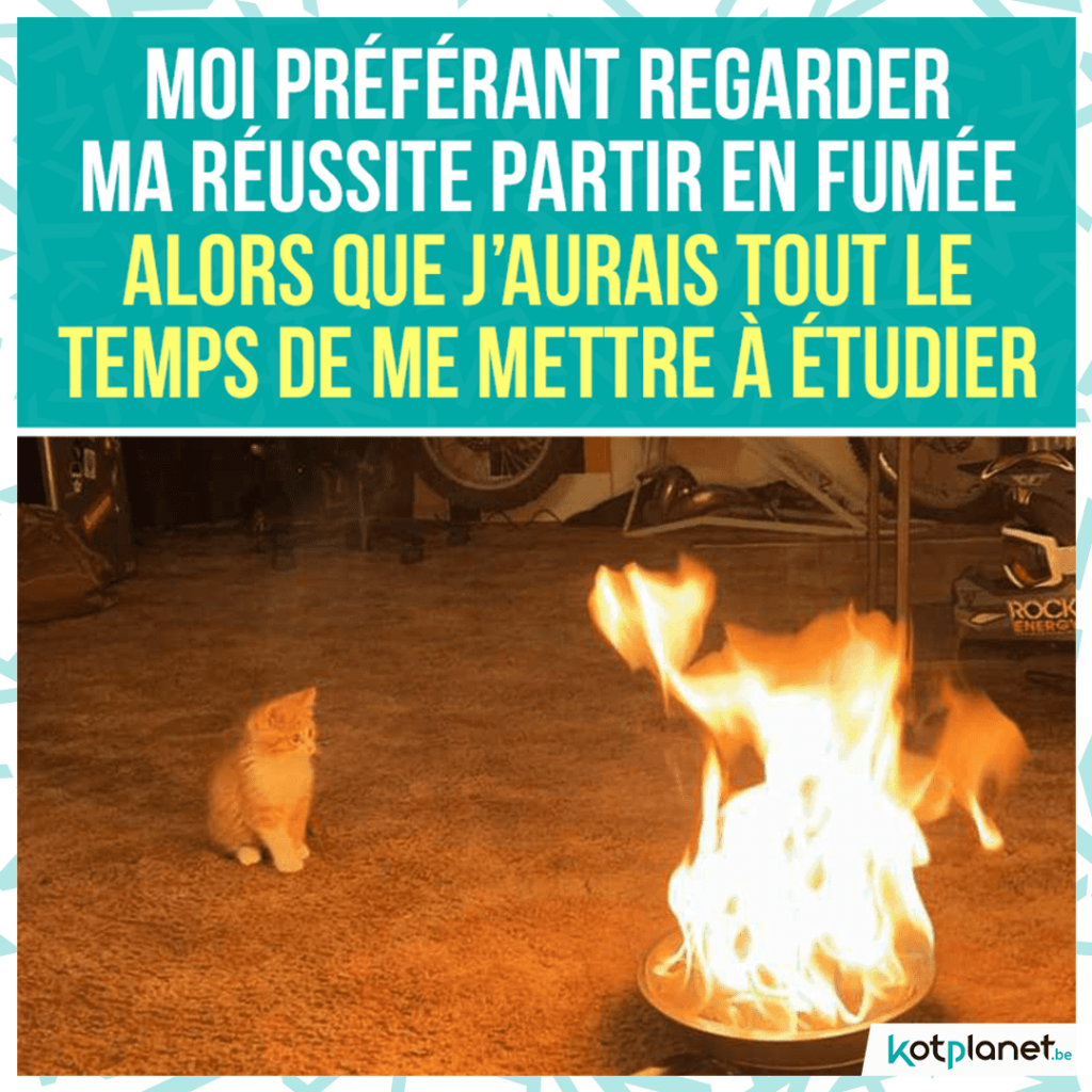 meme-regarde-reussite-partir-fumee