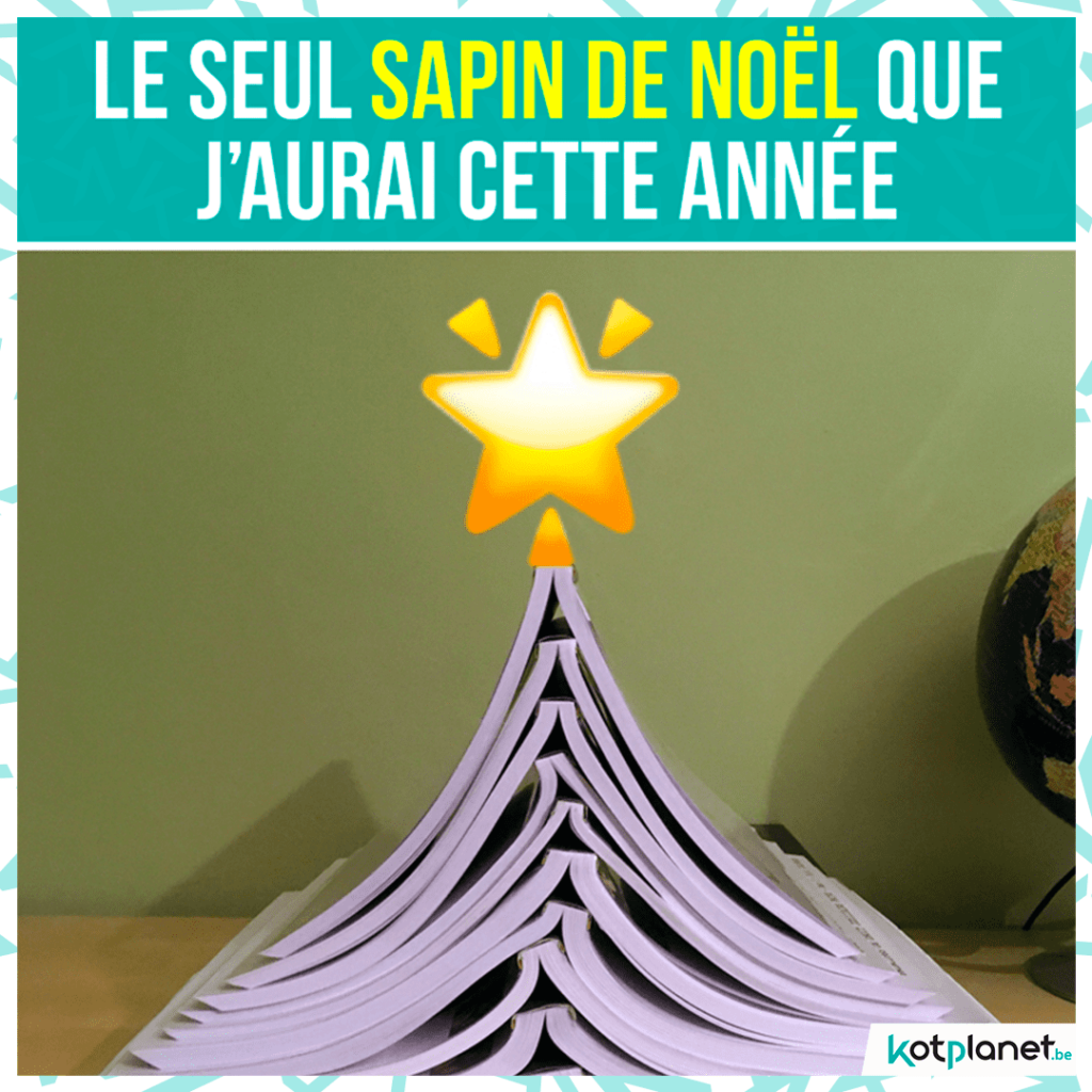 meme seul sapin des etudiants