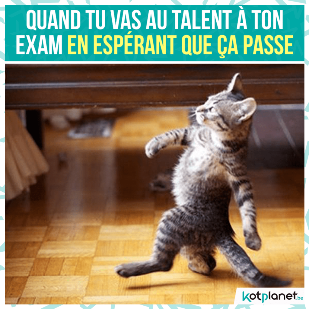 meme-talent-exam-esperant-ca-passe