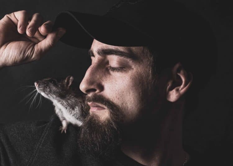 pexels-mateusztaciak-personneavecunrat-cmmentreconnaîtreunratduranttesétudes