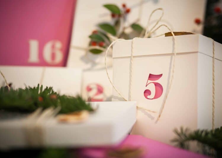 calendrier de l'avent kotplanet 2022