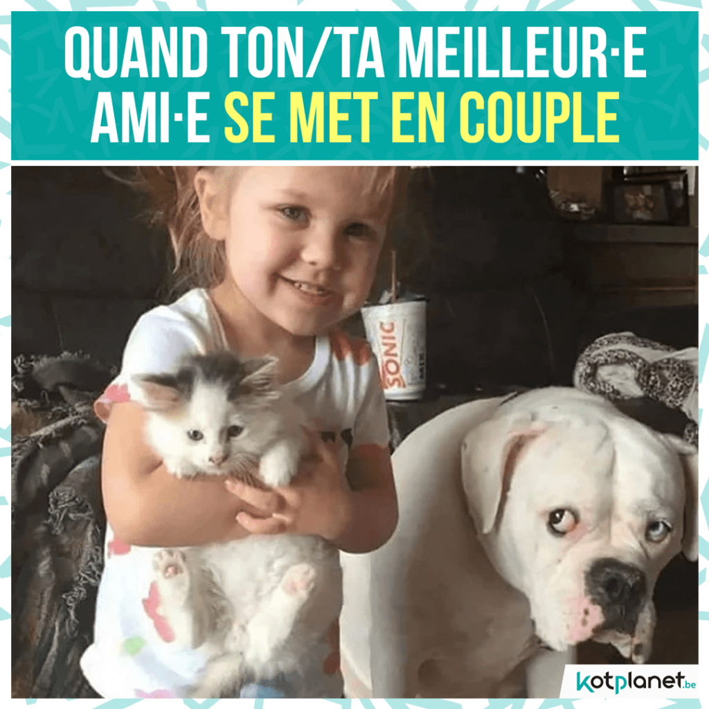 meme-meilleur-pote-couple