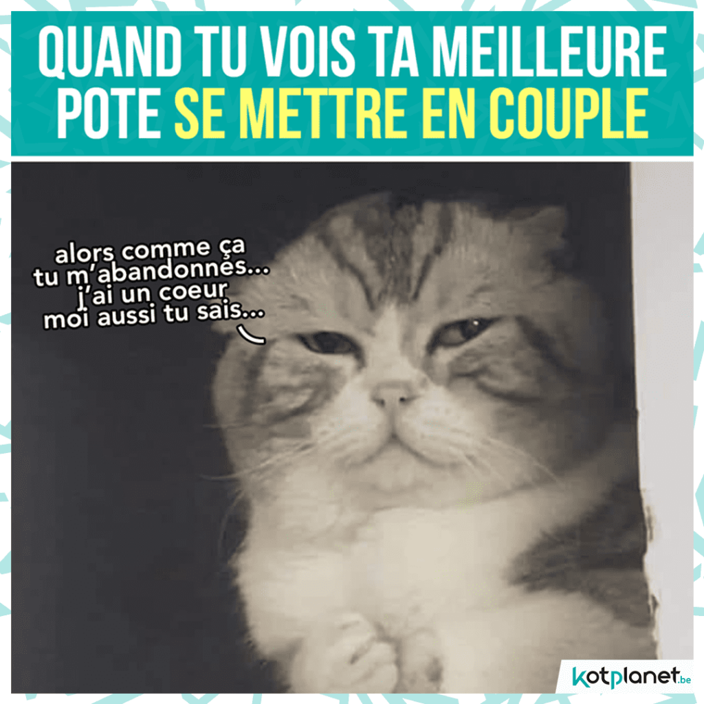 meme-meilleure-pote-couple