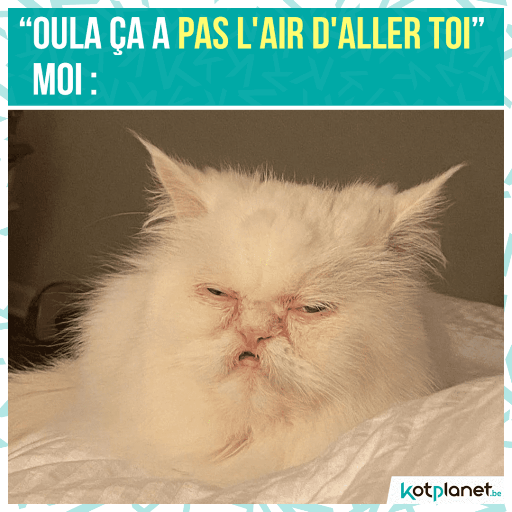 meme-pas-air-aller-toi