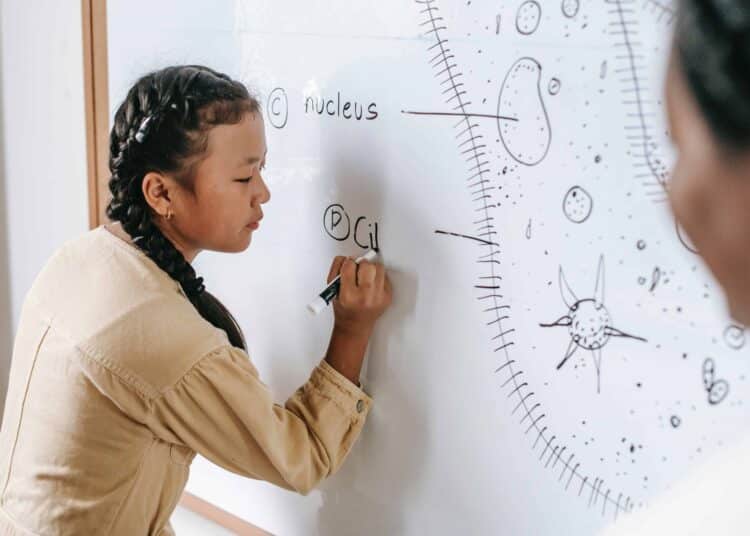 pexels-katerina-holmes-étudiant en médecine - les étudiants et la FEF réagissent au non de glatigny