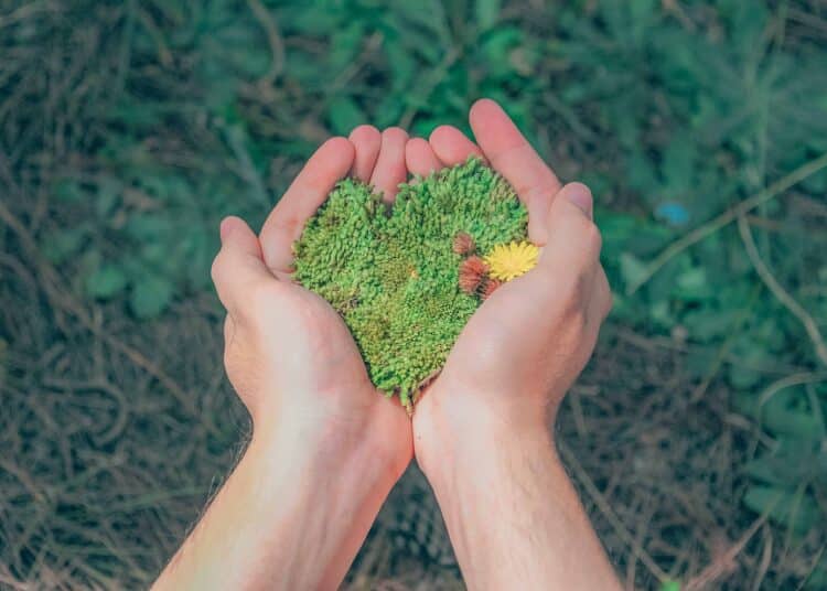 pexels-min-an-environnement-les jeunes favorable aux cours sur l'environnement