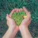 pexels-min-an-environnement-les jeunes favorable aux cours sur l'environnement
