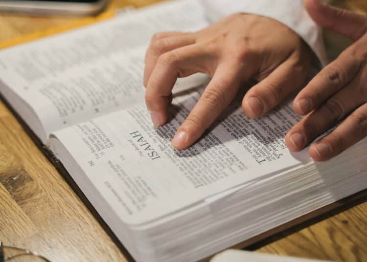 4 conseils pour choisir au mieux ses études