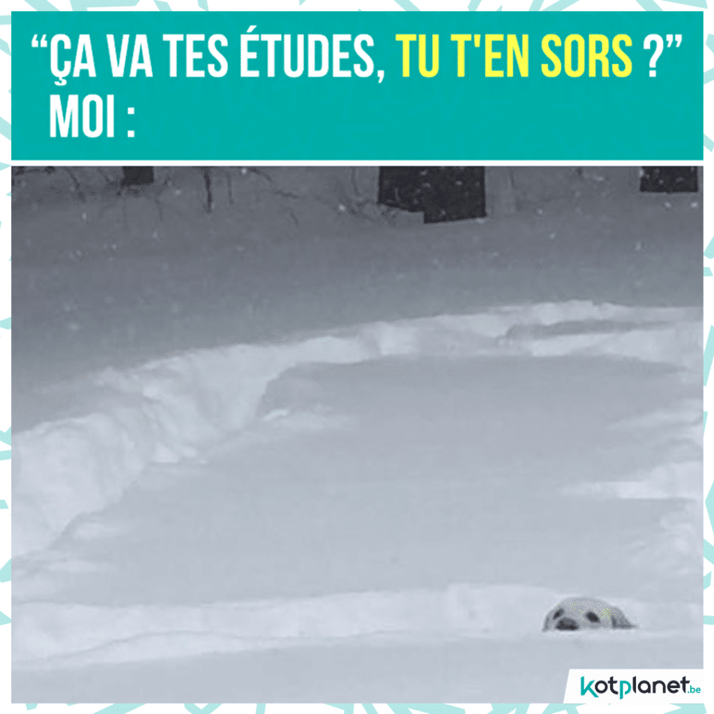 meme-ca-va-etude-neige