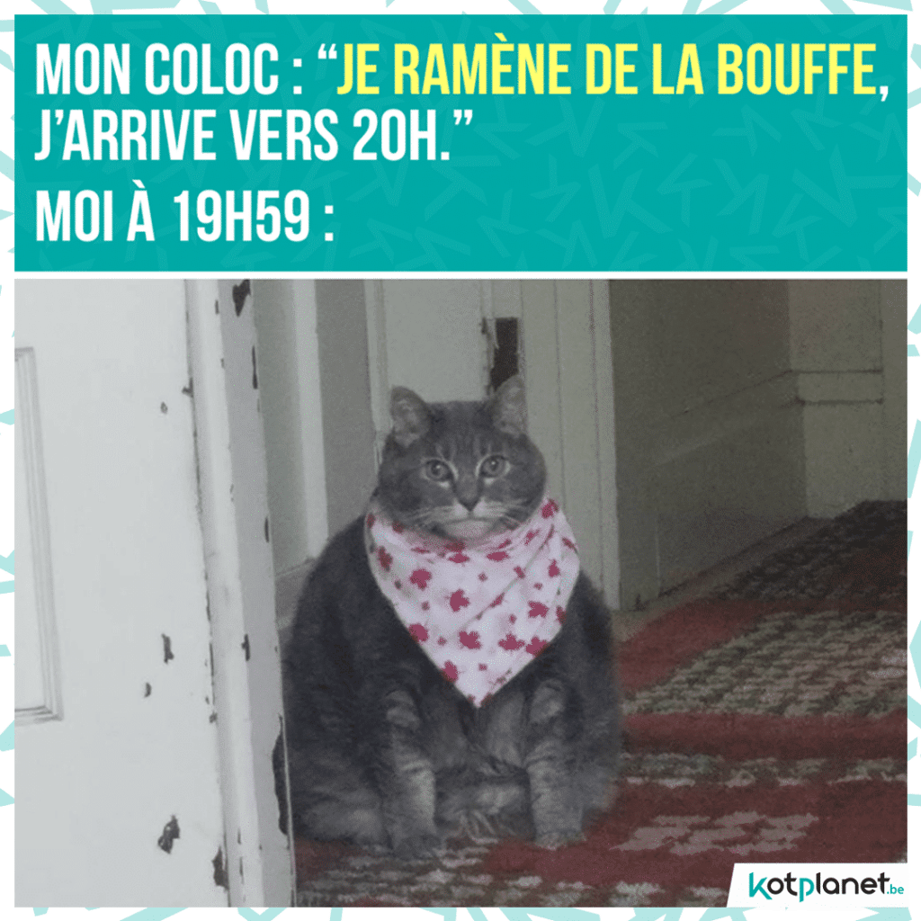 meme-coloc-ramene-bouffe