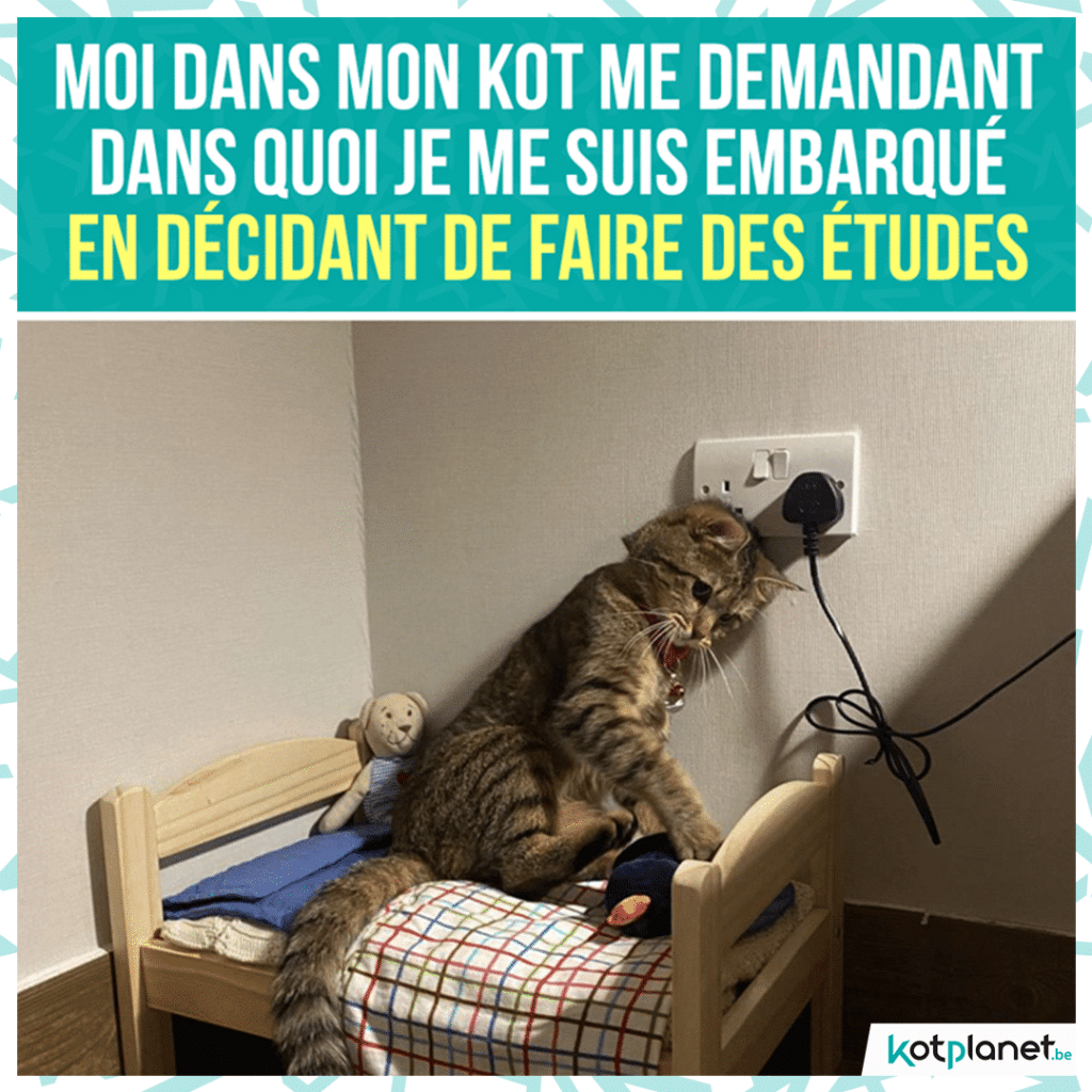 meme-dans-quoi-embarque