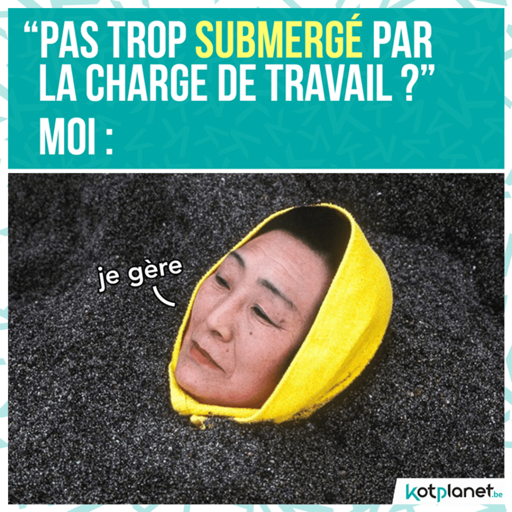 meme-pas-trop-submerge
