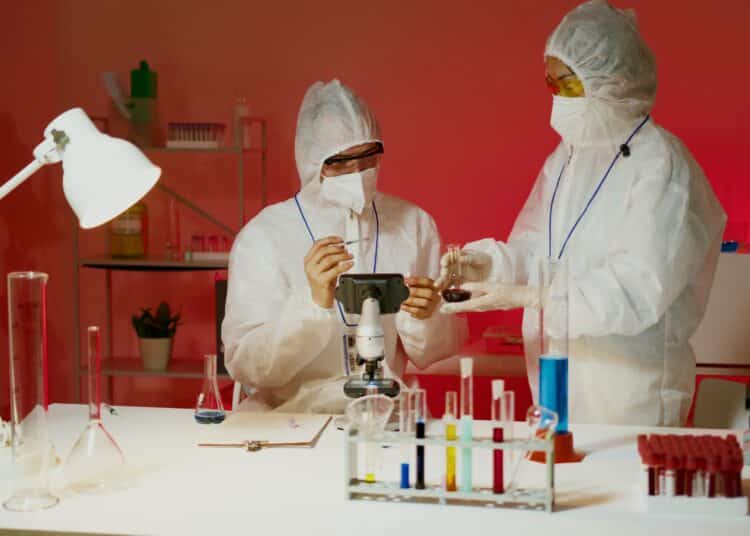 pexels-artem-podrez-scientifique-le preintemps des sciences débarque dans les université de la fédération wallonie bruxelles