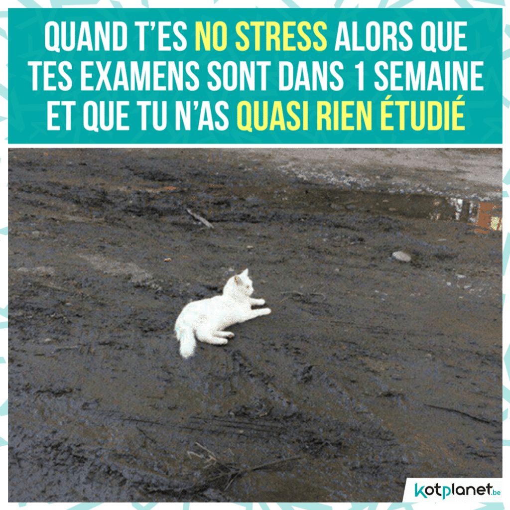 meme-1-semaine-exam-no-stress