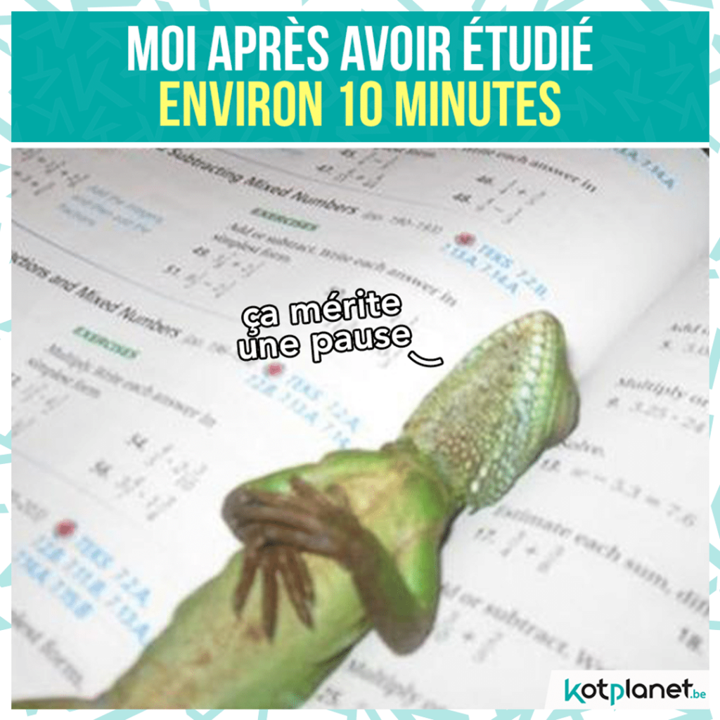 meme-moi-apres-avoir-etudier