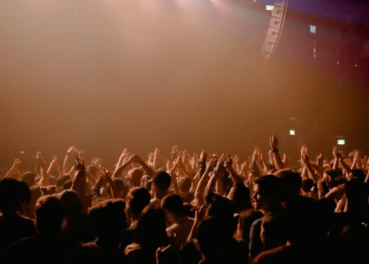 pexels-harrison-haines-c'est quoi la bal des bleus