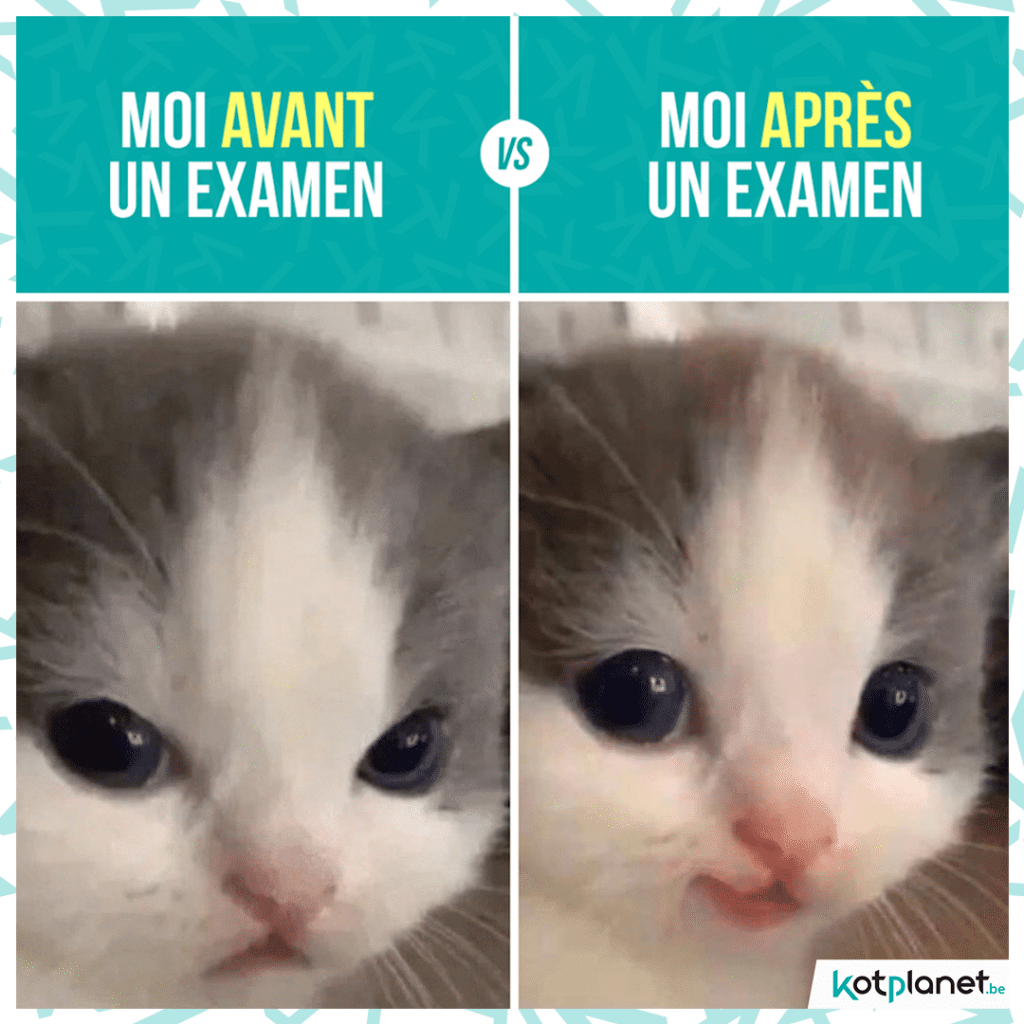 meme-moi-avant-vs-apres-exam