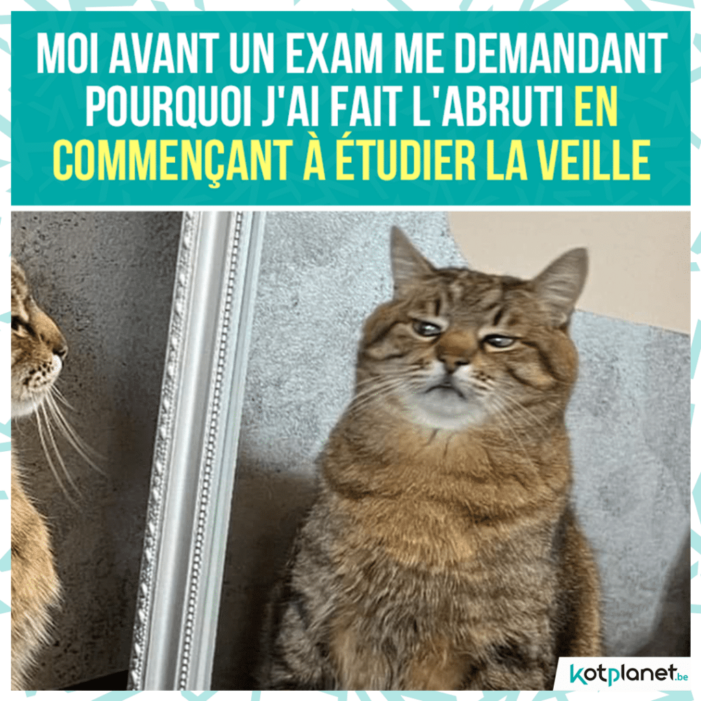 meme-moi-demandant-avant-exam-pourquoi-pas-etudier-plus-tot