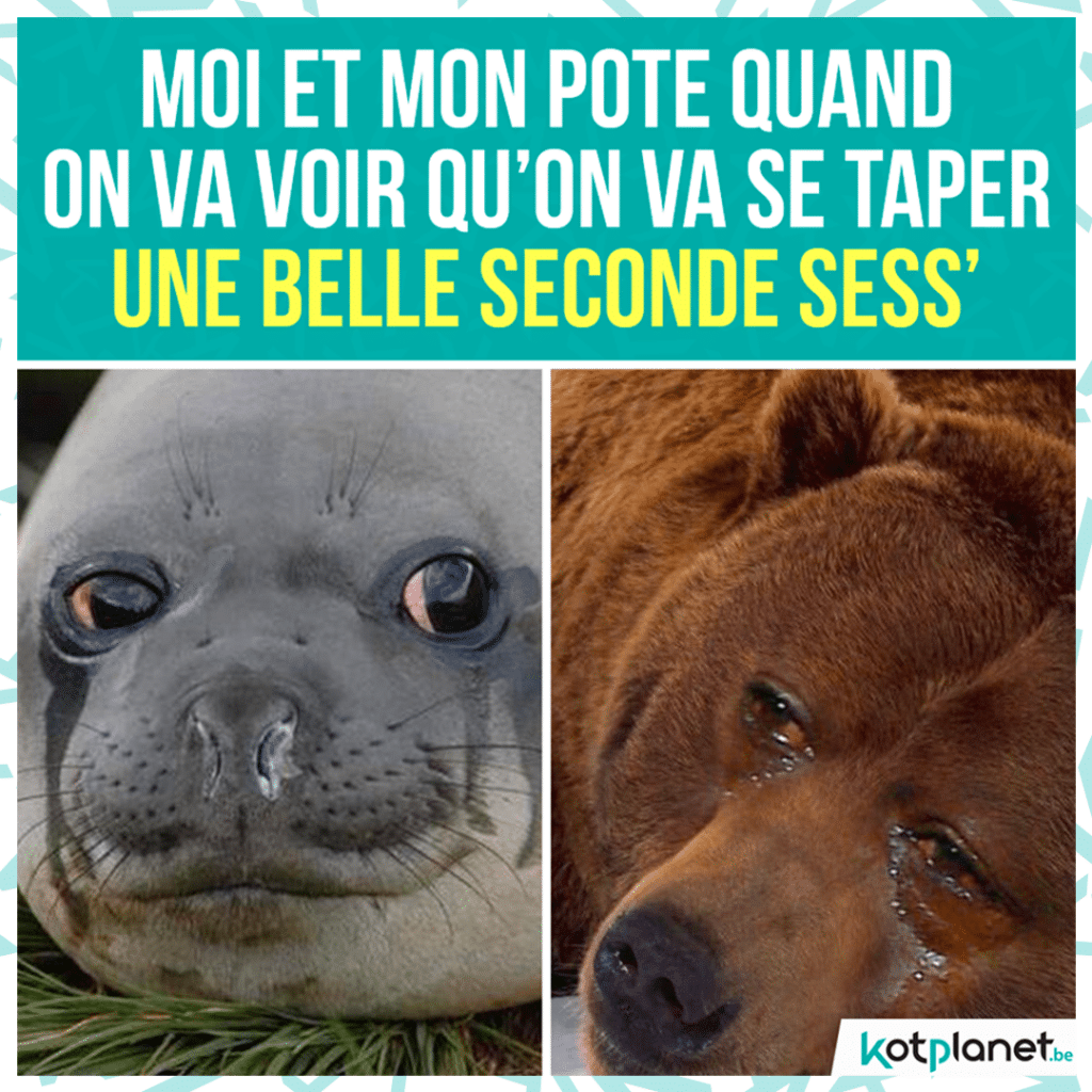 meme-potes-moi-voir-seconde-sess
