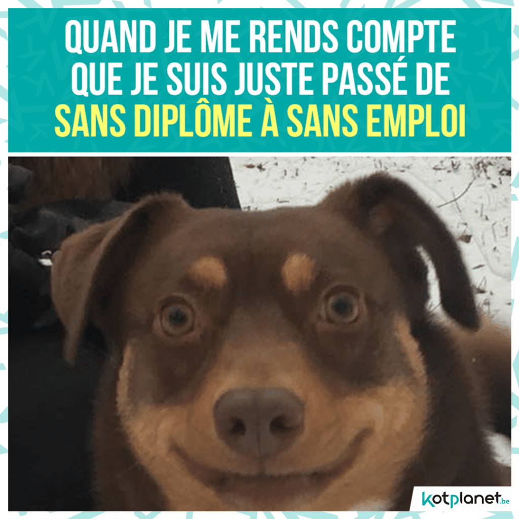 meme-diplome-sans-emploi-passer