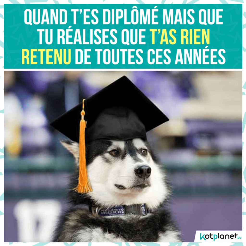 meme-diplome-tout-oublier