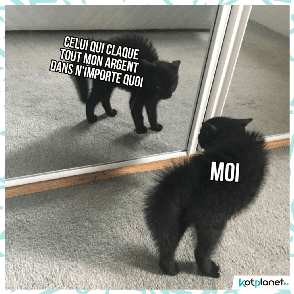 meme-importe-quoi-argent