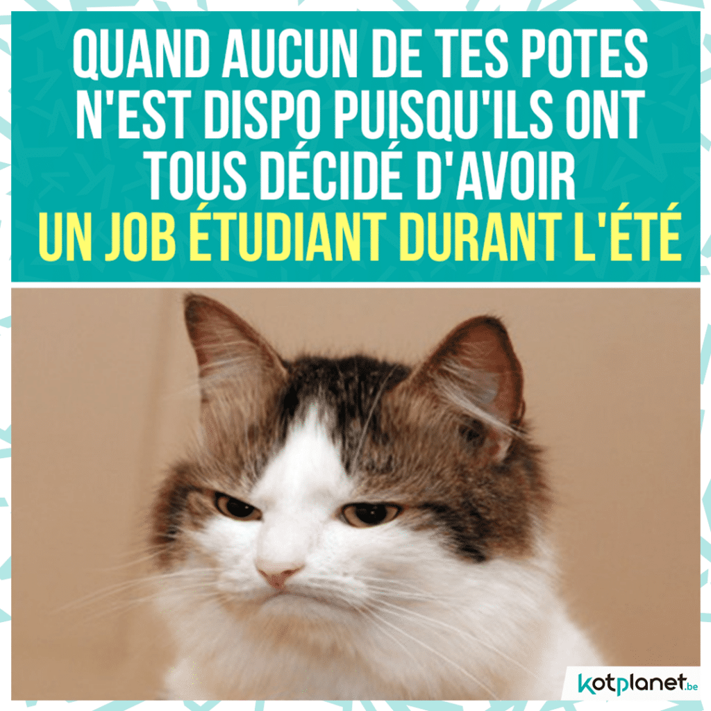 meme-pote-travaille-ete