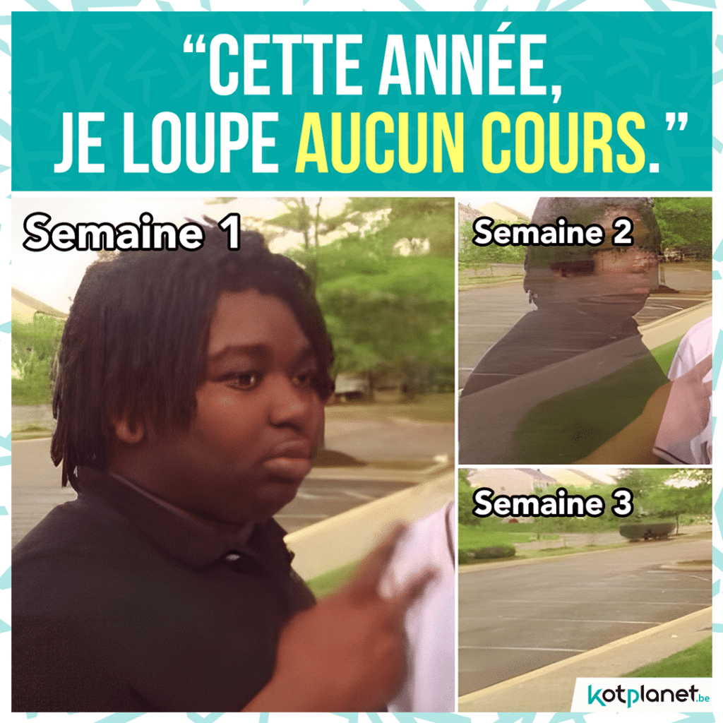 meme-annee-loupe-aucun-cours