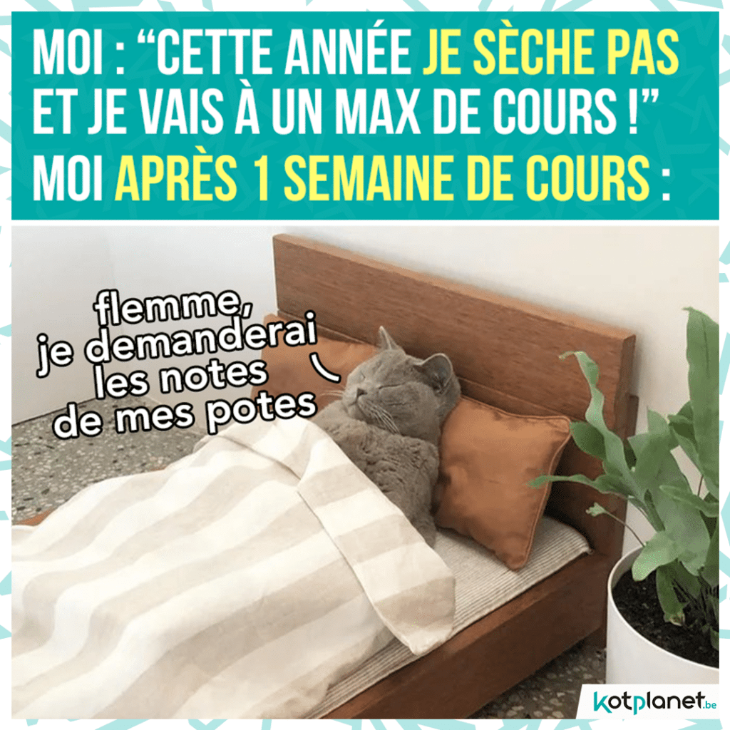 meme-annee-seche-pas