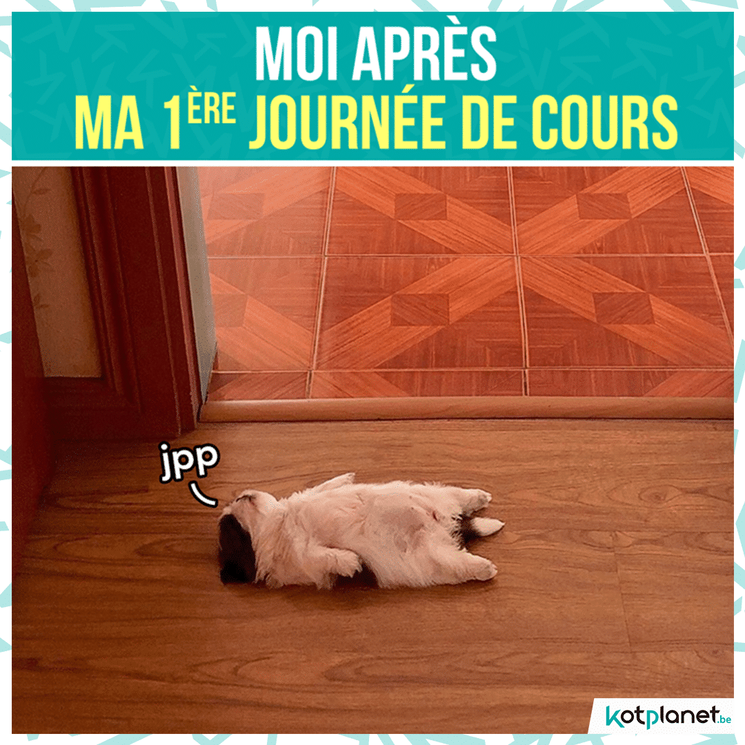 5 moments que tu vis à la rentrée