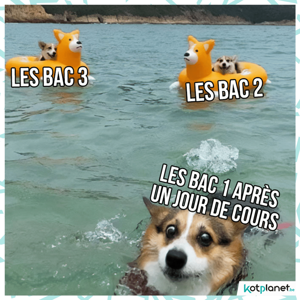 meme-bac-1-secours