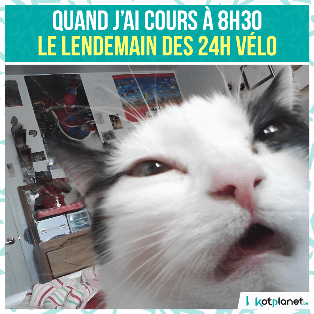 meme-cours-lendemain-24h-velo