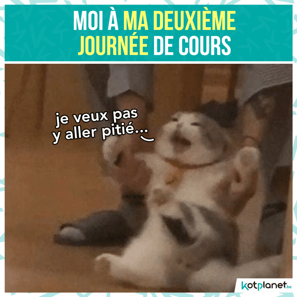 meme-deuxieme-journee-cours