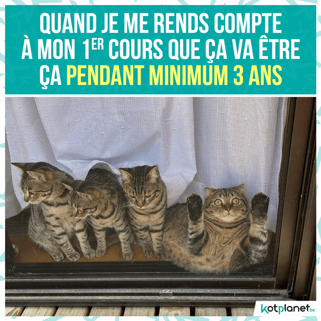 meme-parti-pour-3-ans-minimum