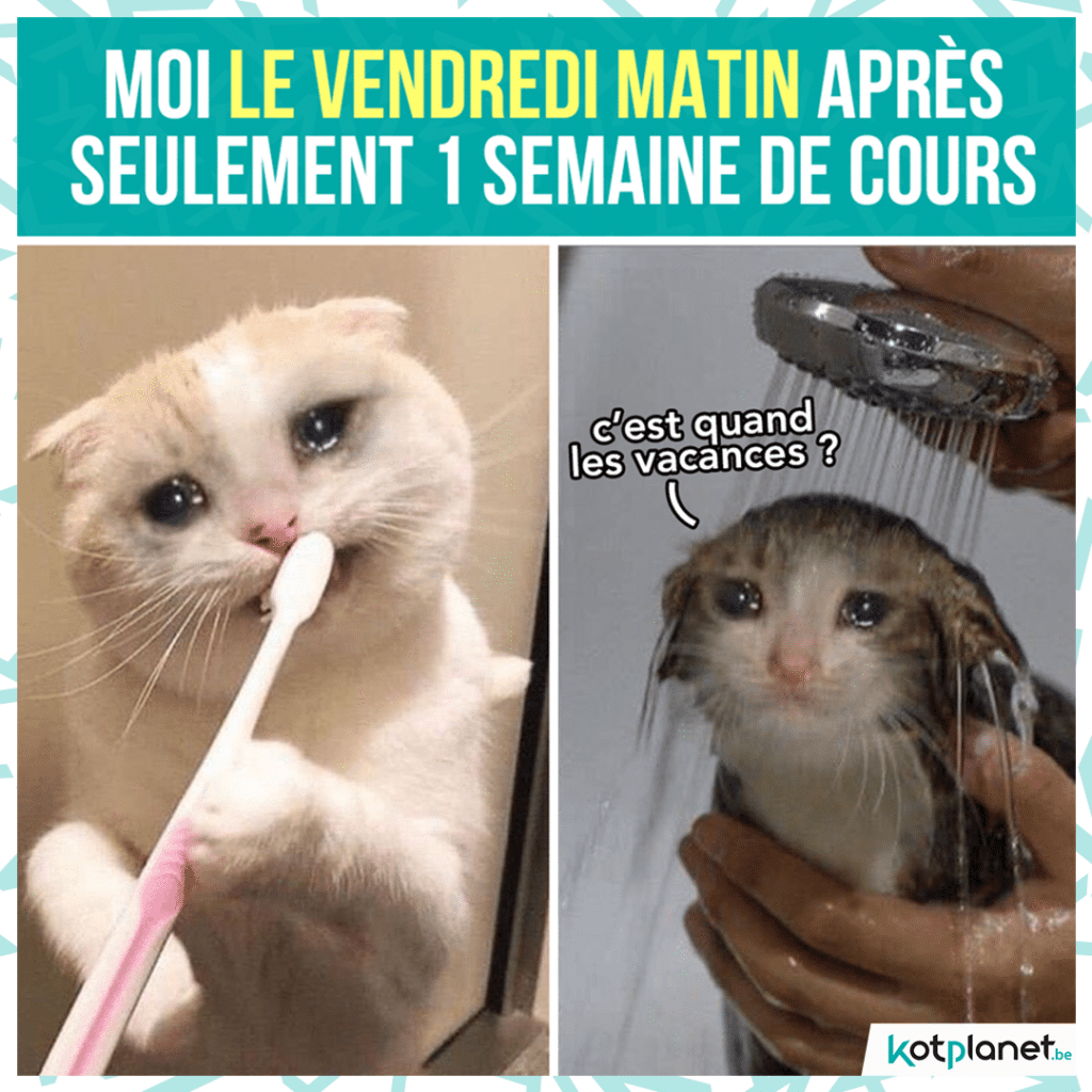 meme-seulement-1-semaine-cours