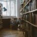 pexels-polina-zimmerman-étudiante qui lit un livre dans une bibliothèque - Les meilleures lectures quand on approche de la rentrée