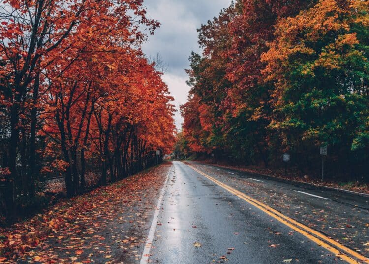 pexels-craig-adderley-route en automne - Les meilleures destinations automnales pour les étudiants