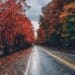 pexels-craig-adderley-route en automne - Les meilleures destinations automnales pour les étudiants